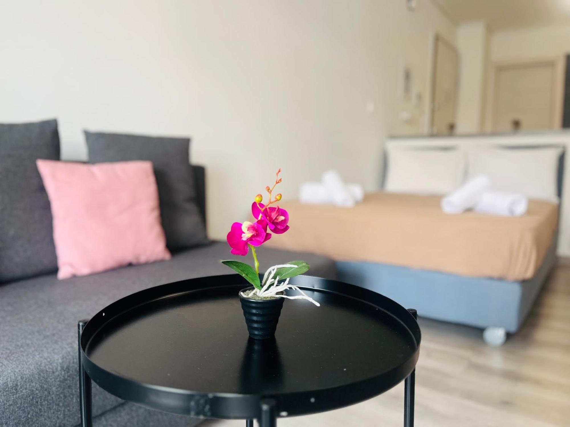 Elvita 4 Apartment